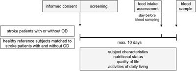 Evident lower blood levels of multiple nutritional compounds and highly prevalent malnutrition in sub-acute stroke patients with or without dysphagia